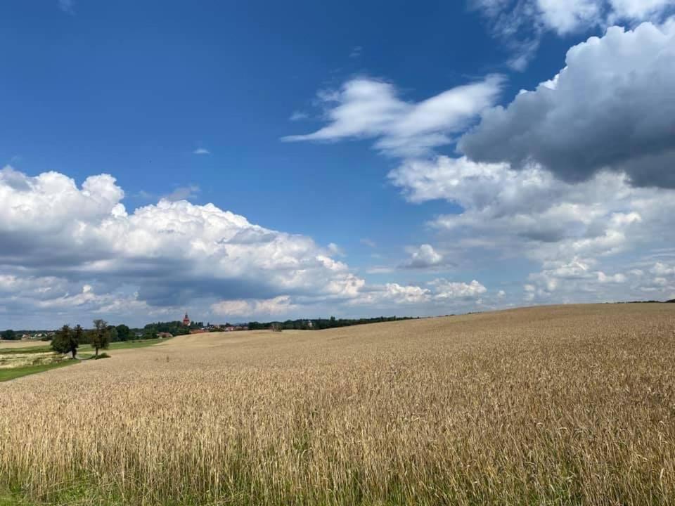Hof Tuerke Leilighet Moritzburg Eksteriør bilde